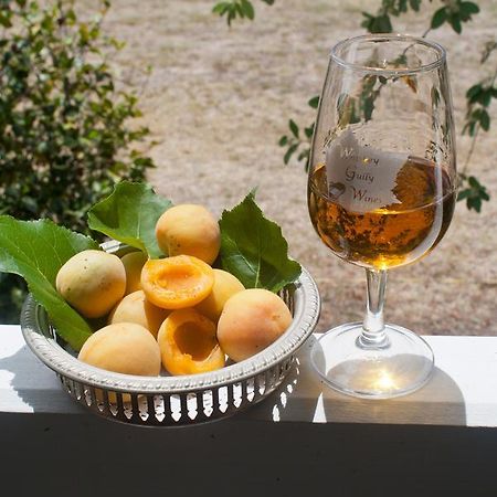 Whiskey Gully Wines Villa Stanthorpe Ngoại thất bức ảnh