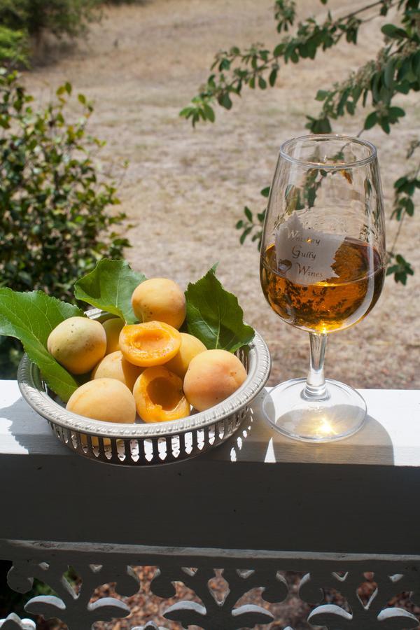 Whiskey Gully Wines Villa Stanthorpe Ngoại thất bức ảnh